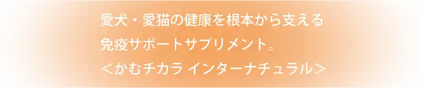 愛犬・愛猫の健康を根本から支える免疫サポートサプリメント。＜かむチカラ　インターナチュラル＞